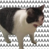 1755011314036.png